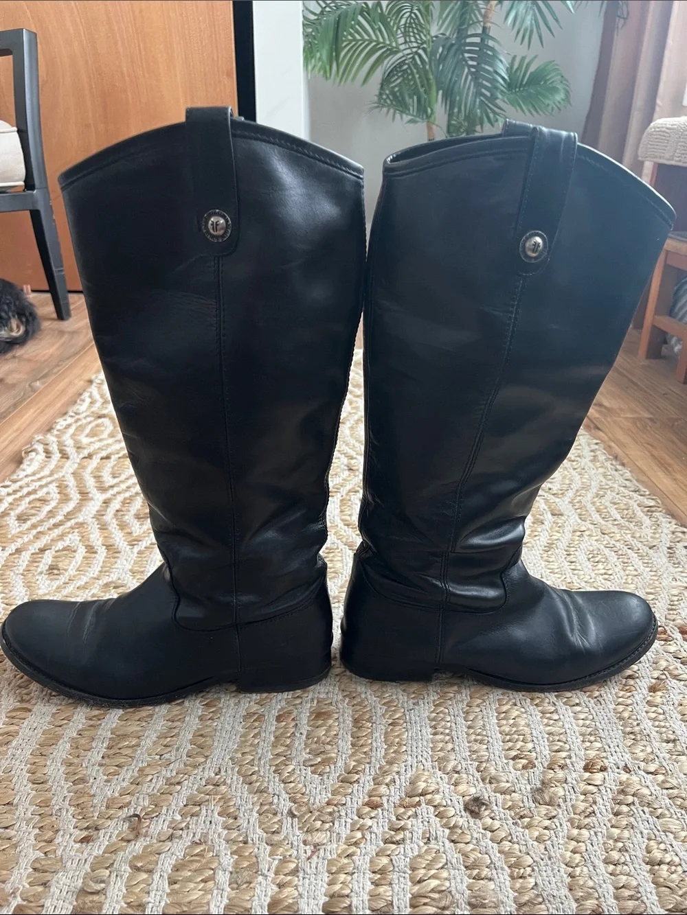 Frye tall black